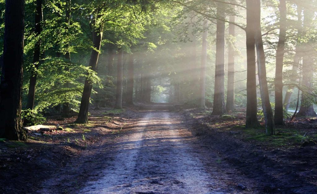 Long chemin Après le soin